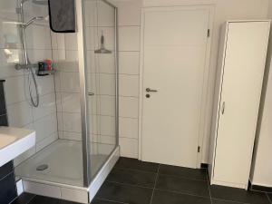 a shower with a glass door in a bathroom at Ferienwohnung Lahntalblick in Weilburg +22 photos