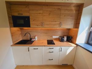 a small kitchen with a sink and a microwave at Apartment Arber Šumava in Čachrov