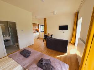a living room with a couch and a television at Apartment Arber Šumava in Čachrov