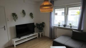 TV a/nebo společenská místnost v ubytování Dschungel-Apartment Steubenstr 13