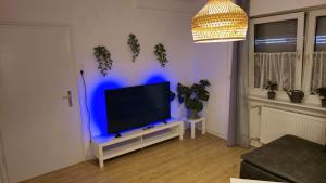 TV a/nebo společenská místnost v ubytování Dschungel-Apartment Steubenstr 13