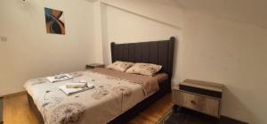 Un dormitorio con una cama grande con cabecero de madera. en Central Apartments in Skopje, en Skopje