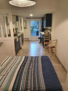 a living room and kitchen with a bed in a room at Joli studio décoré proximité cure centre ville in Rochefort