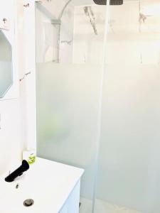 Un baño con ducha con lavabo y espejo. en Ferme Cosy et Paisible au Bord de l'Eure, en Criquebeuf-sur-Seine