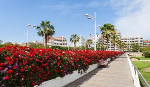 a row of flowers on a boardwalk in a city at Apartamento Plaza Palmeras in Burjassot