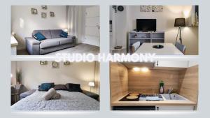 a collage of three pictures of a living room at Studio Harmony - Zen et Confort - Hypercentre in Troyes