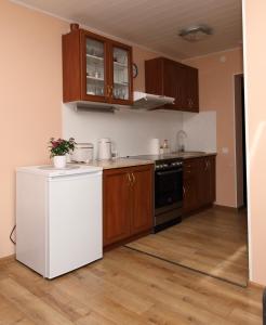 Kuchyň nebo kuchyňský kout v ubytování Loksahome apartments