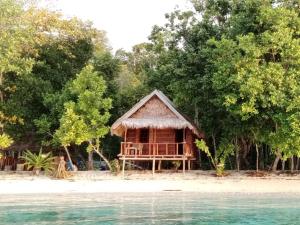 a small hut on the beach next to the water at Risen Raja Ampat in Pulau Birie