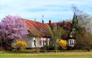 an old house with a red roof and trees at Kígyósi Csárda & Panzió in Fülöpszállás