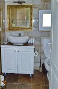 a bathroom with a sink and a toilet and a mirror at Seosko domacinstvo Gardic in Užice +54 photos