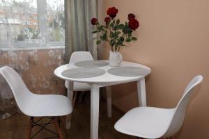 Fotografie z fotogalerie ubytování Loksahome apartments v destinaci Loksa