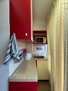 Dapur atau dapur kecil di Apartament Sofia Saturn Mangalia