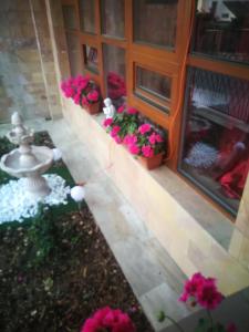 a garden with flowers and a fountain in front of a building at Vila Barrandovská patro 2 in Prague