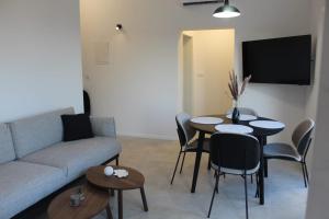 Televízia a/alebo spoločenská miestnosť v ubytovaní Red Wine Apartments