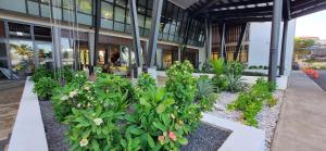 Κήπος έξω από το Lava Hotel
