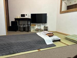 TV a/nebo společenská místnost v ubytování hanamaru-house 民泊一戸建ホテル