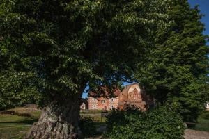 Zahrada ubytování Burghotel Stargard