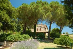 A garden outside Agriturismo Casale Dei Frontini
