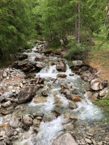 Przyroda w pobliżu tego domu w stylu alpejskim