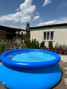 a blue frisbee sitting on top of a pool at Taizhan in Ak-Bulun