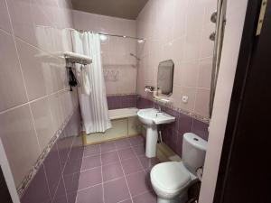 a pink bathroom with a toilet and a sink at Uzumfermer Hotel & Winery in Tashkent +33 photos