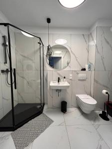une salle de bains avec douche, toilettes et lavabo dans l'établissement BoleslaviaApartments - Apartament Arte 4, parking free, EV, à Bolesławiec 17 autres photos