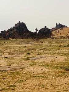 a field with some rocks in the distance at Bedouin Desert Cave in Wadi Rum