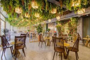 The Pikus Paradise餐厅或其他用餐的地方