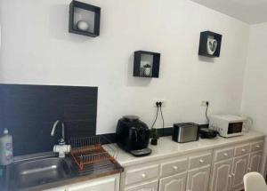 Una cocina con un fregadero y un microondas en una encimera. en BiaMar Băile Herculane, en Băile Herculane