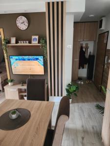 Televiisor ja/või meelelahutuskeskus majutusasutuses Apartman Planinski san Divčibare