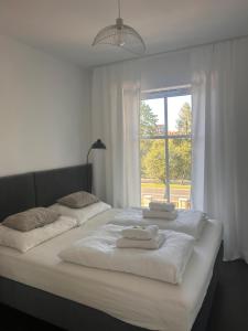 deux lits dans une chambre blanche avec une fenêtre dans l'établissement BoleslaviaApartments - Apartament Arte 4, parking free, EV, à Bolesławiec