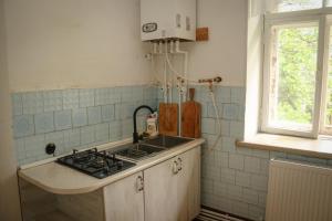 Kuchyň nebo kuchyňský kout v ubytování Abastumani Apartment