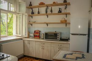 Kuchyň nebo kuchyňský kout v ubytování Abastumani Apartment