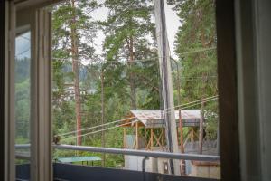 Příroda nedaleko apartmánu