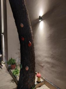 Fotografija v galeriji nastanitve Nio Planet Villa Golem, Durrës v mestu Golem