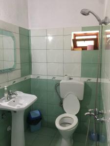 a green and white bathroom with a toilet and sink at Villa Balliu in Pogradec
