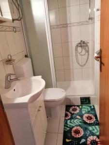 a bathroom with a toilet and a sink and a shower at Studio apartment Milna, Hvar Buratovic in Hvar
