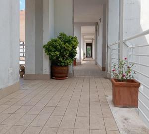 Fotografie z fotogalerie ubytování B&B Guesthouse La Casetta Di Sutri sulla Francigena v destinaci Sutri