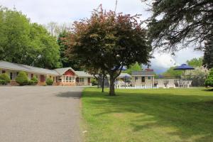 a tree in the middle of a yard with a house at Berkshire Inn in Pittsfield