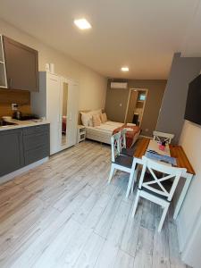Köök või kööginurk majutusasutuses ****Heviz Springs Apartments