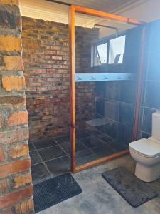 a bathroom with a toilet and a brick wall at RuaWilla Guest Cottage in Lutzville +13 photos