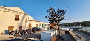 a small tree next to a building and a marina at Casa dei bagnanti sul Porto Vecchio in Stintino