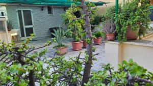 Zahrada ubytování case vacanze, La casa di Angelo, con terrazzo