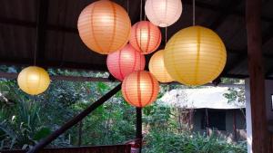 a group of colorful lanterns hanging from a ceiling at Devocean Eco Adventure Lodge in Ponta do Ouro