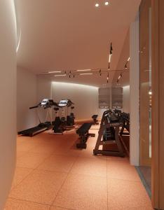 Fitness centrum a/nebo fitness zařízení v ubytování Maybis Hotel