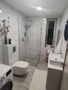 een badkamer met een douche, een toilet en een wastafel bij Kaunas Castle Apartment in Kaunas +35 foto's
