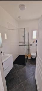 un bagno con doccia, lavandino e WC di Maison Vacance Proche De Calvi a Calenzana