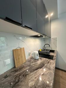 a kitchen with a counter top with a sink at Apartament 221 przy Niedźwiadku in Polanica-Zdrój