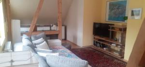 a living room with a couch and a tv at Ferienwohnungen im Harz in Altenbrak