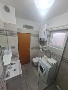 a bathroom with a toilet and a sink at Apartment Anton in Pinezici